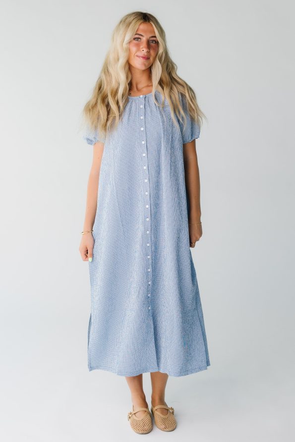 Brass_and_Roe_Bree_Midi_Knee_Dress_for_women_in_blue_gingham